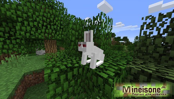как размножать кроликов в майнкрафт #3